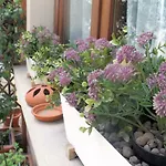 דירה Luxury Central Flat River View פירנצה
