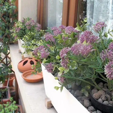 Daire Luxury Central Flat River View Floransa